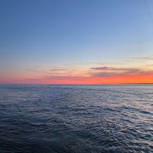 Meet your Posher, Tim